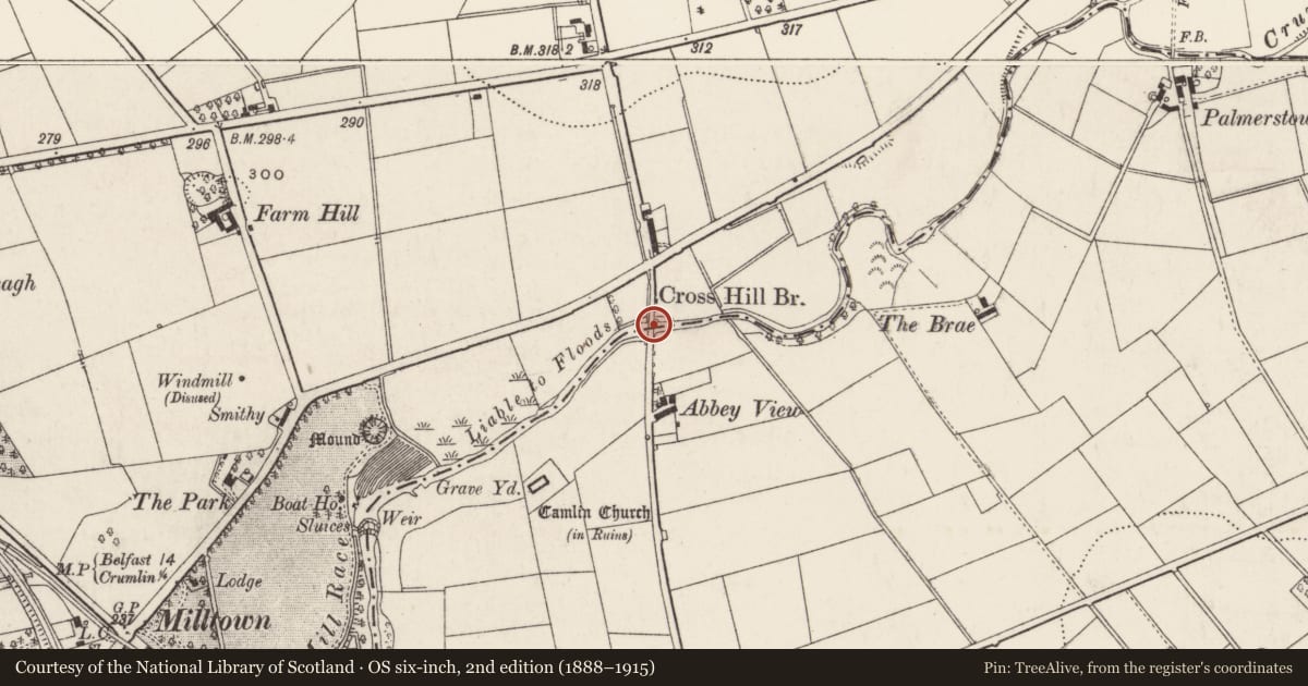 Ordnance Survey six-inch map, 2nd edition (1888–1915) covering the location of Cross Hill Bridge, Ballydonaghy/Crosshill, Antrim and Newtownabbey, with a pin at the register's coordinates