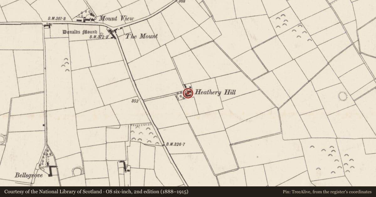 Ordnance Survey six-inch map, 2nd edition (1888–1915) covering the location of Larkhill, Ballydonaghy, Antrim and Newtownabbey, with a pin at the register's coordinates