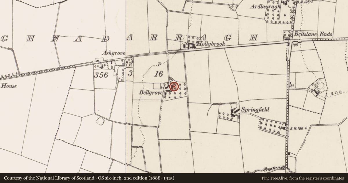 Ordnance Survey six-inch map, 2nd edition (1888–1915) covering the location of Bellgrove, Aghnadarragh, Antrim and Newtownabbey, with a pin at the register's coordinates