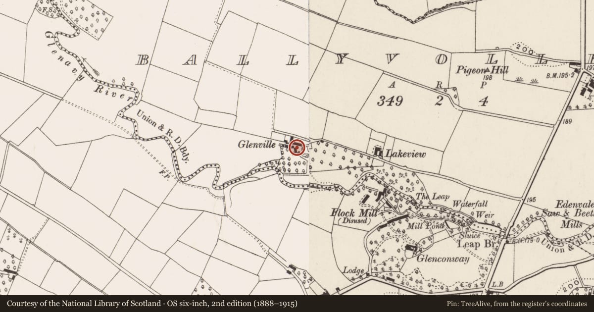 Ordnance Survey six-inch map, 2nd edition (1888–1915) covering the location of Glenville, Ballyvollen, Antrim and Newtownabbey, with a pin at the register's coordinates