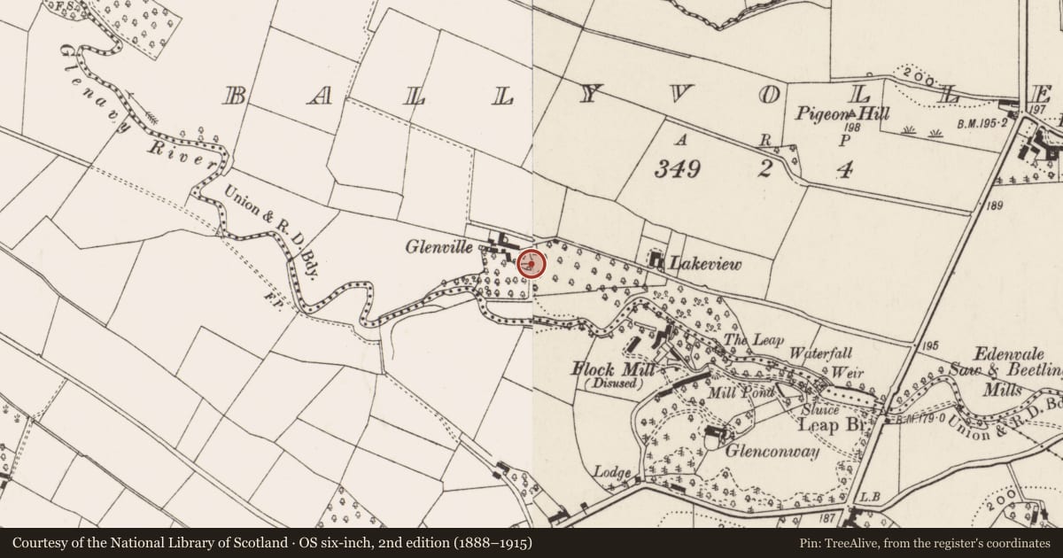 Ordnance Survey six-inch map, 2nd edition (1888–1915) covering the location of Lime kiln at Glenville, Ballyvollen, Antrim and Newtownabbey, with a pin at the register's coordinates