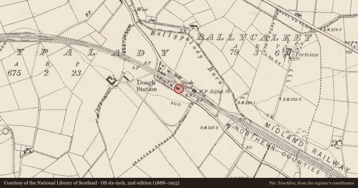 Ordnance Survey six-inch map, 2nd edition (1888–1915) covering the location of 28 Ballypalady Road, Antrim and Newtownabbey, with a pin at the register's coordinates
