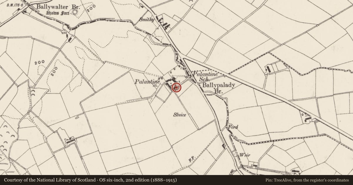 Ordnance Survey six-inch map, 2nd edition (1888–1915) covering the location of The Palantine, Ballypalady, Antrim and Newtownabbey, with a pin at the register's coordinates