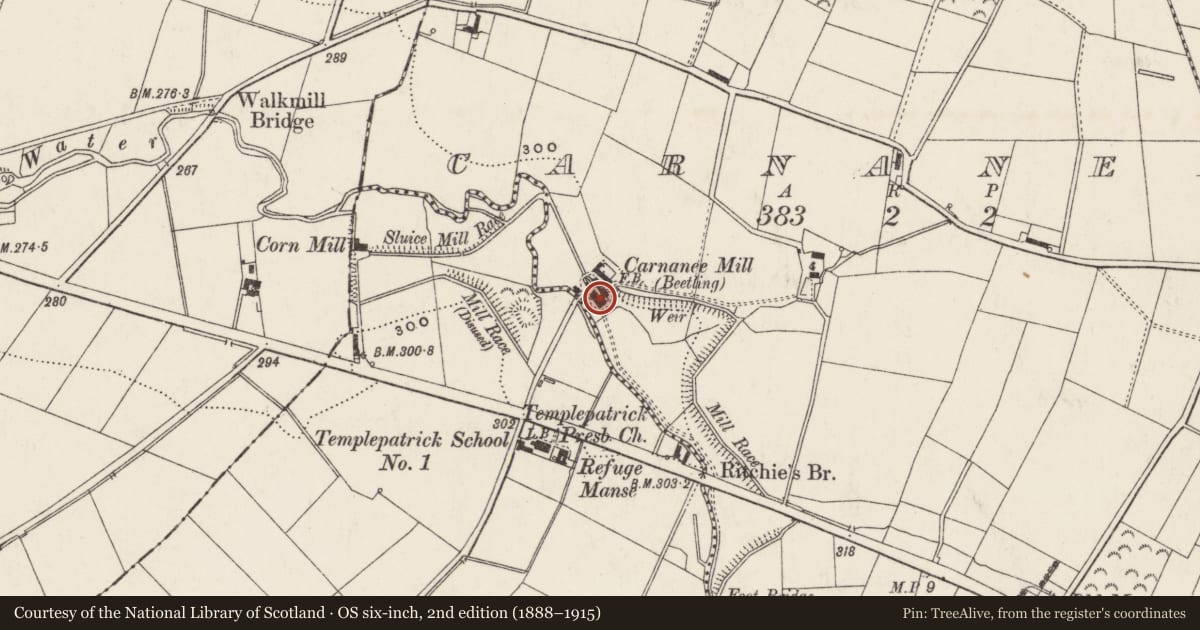 Ordnance Survey six-inch map, 2nd edition (1888–1915) covering the location of Patterson's Spade Mill, Ballypalady, Antrim and Newtownabbey, with a pin at the register's coordinates