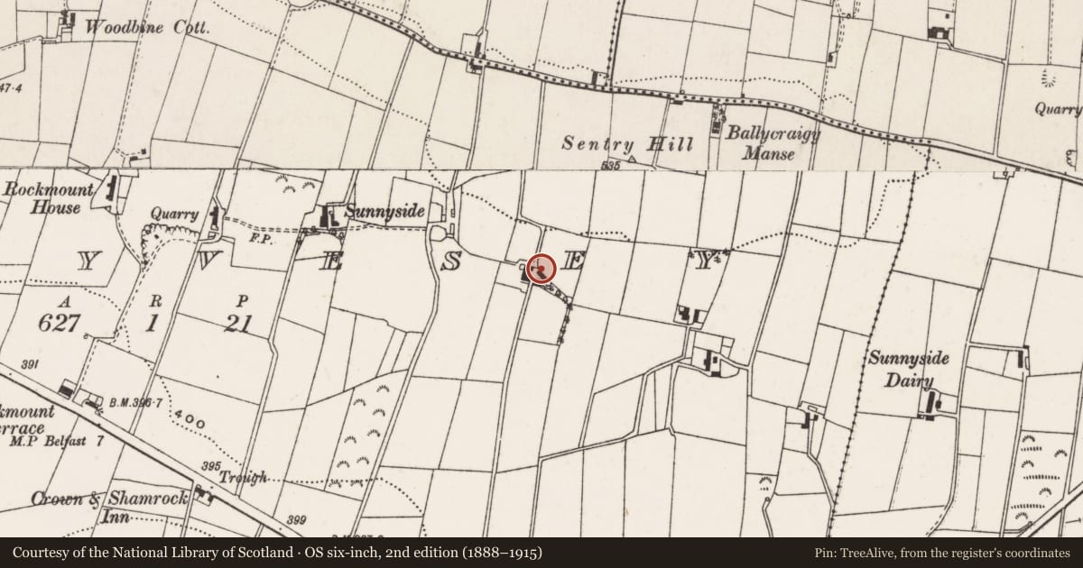 Ordnance Survey six-inch map, 2nd edition (1888–1915) covering the location of Sentry Hill, Ballyvesey, Antrim and Newtownabbey, with a pin at the register's coordinates