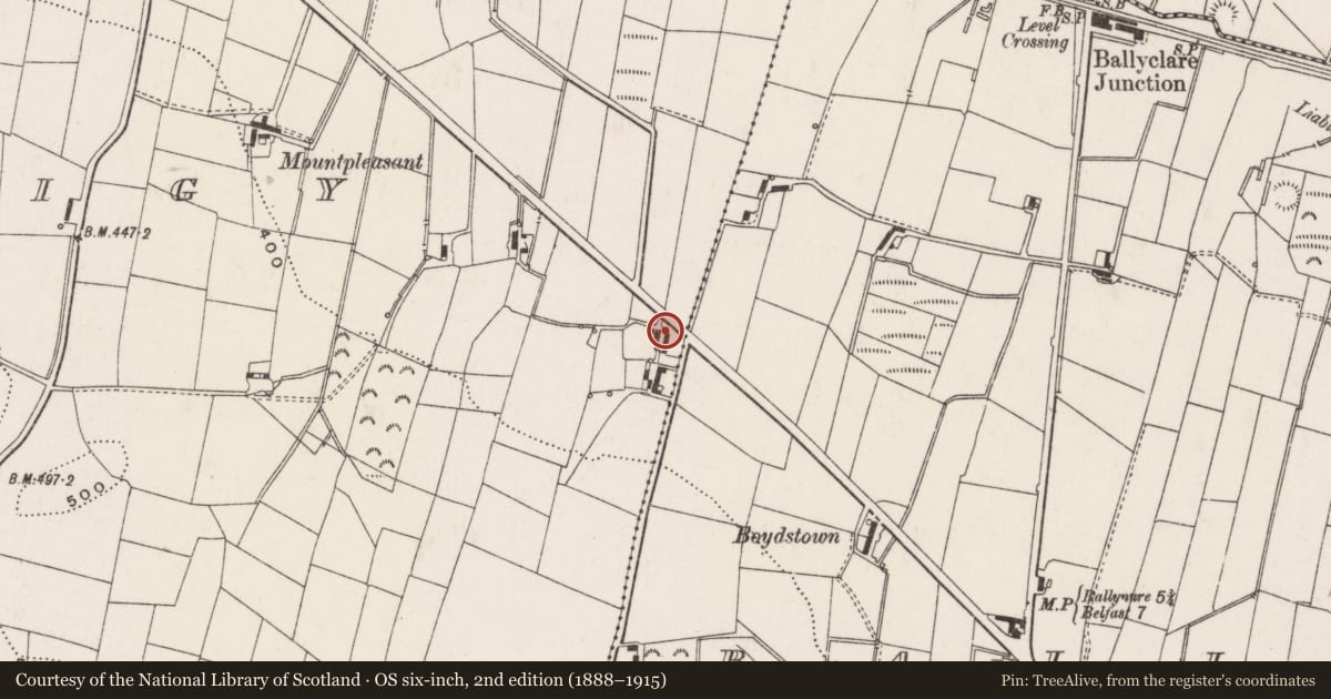 Ordnance Survey six-inch map, 2nd edition (1888–1915) covering the location of 360 Ballyclare Road, Ballycraigy, Antrim and Newtownabbey, with a pin at the register's coordinates