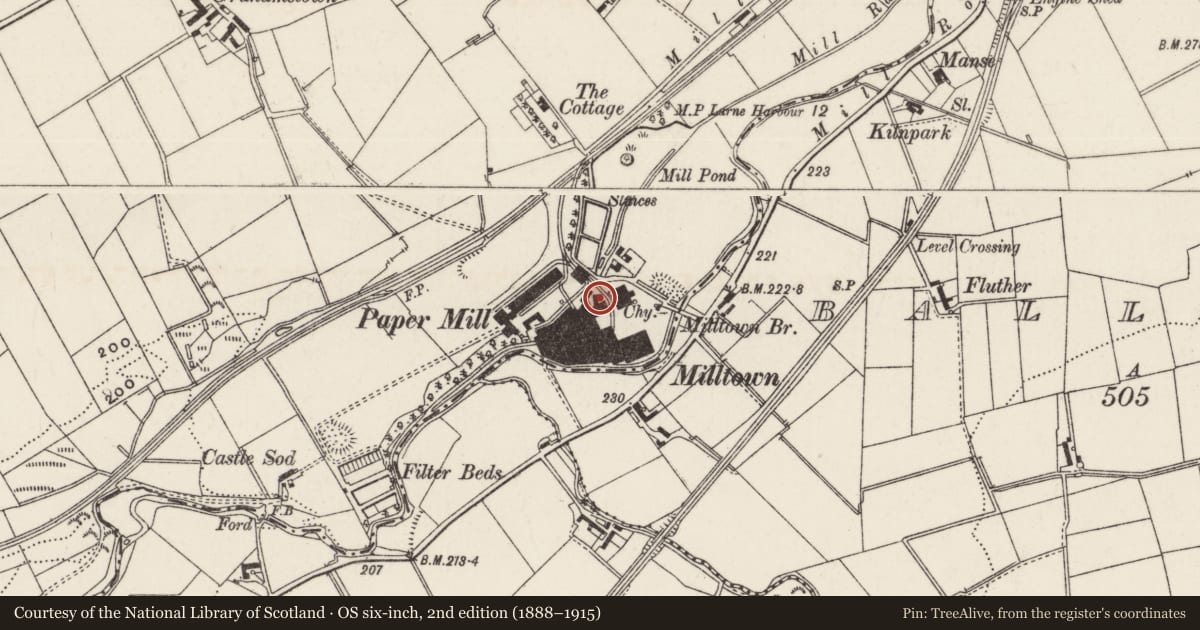 Ordnance Survey six-inch map, 2nd edition (1888–1915) covering the location of Chimney, Antrim and Newtownabbey, with a pin at the register's coordinates