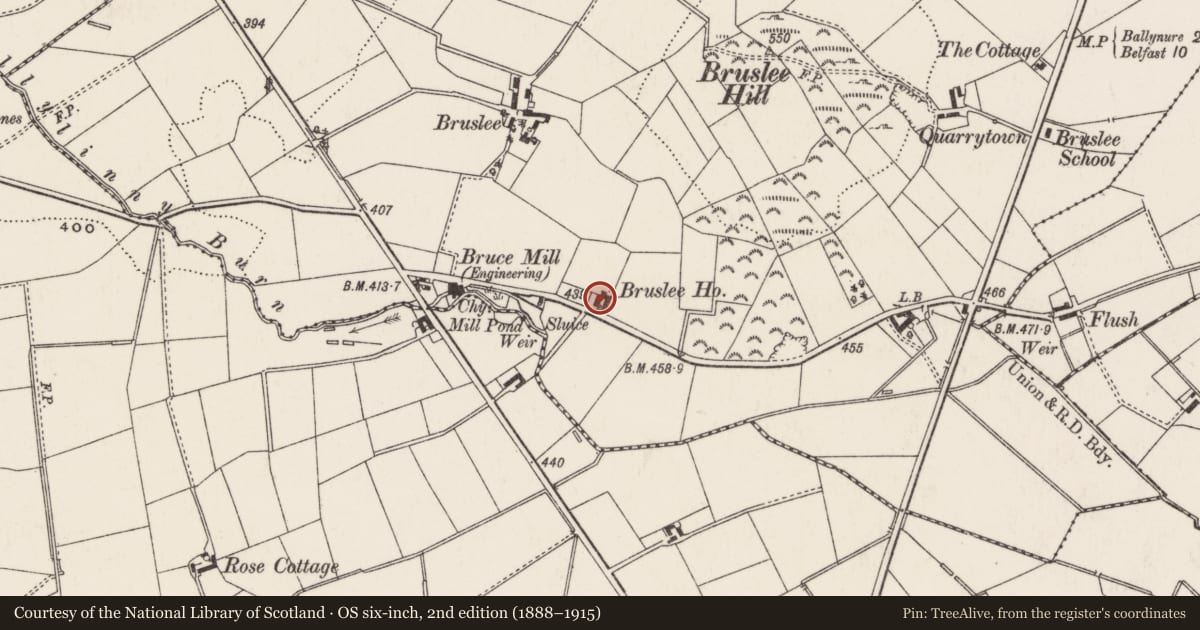 Ordnance Survey six-inch map, 2nd edition (1888–1915) covering the location of Bruslee House, Antrim and Newtownabbey, with a pin at the register's coordinates