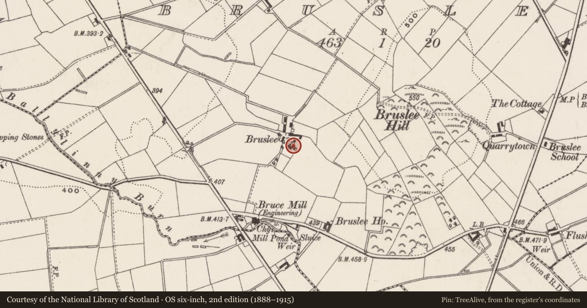 Ordnance Survey six-inch map, 2nd edition (1888–1915) covering the location of Bruslee, Antrim and Newtownabbey, with a pin at the register's coordinates