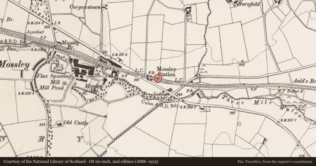 Ordnance Survey six-inch map, 2nd edition (1888–1915) covering the location of Bridge, Carntall, Antrim and Newtownabbey, with a pin at the register's coordinates