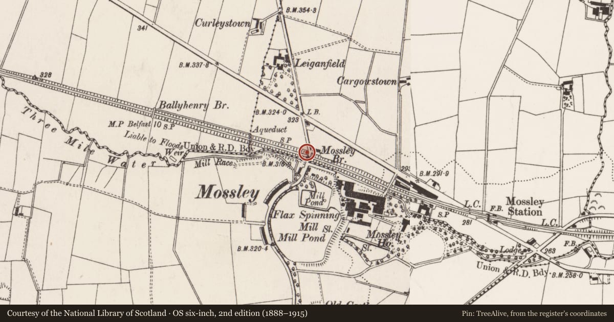Ordnance Survey six-inch map, 2nd edition (1888–1915) covering the location of Mossley Bridge, Carntall, Antrim and Newtownabbey, with a pin at the register's coordinates