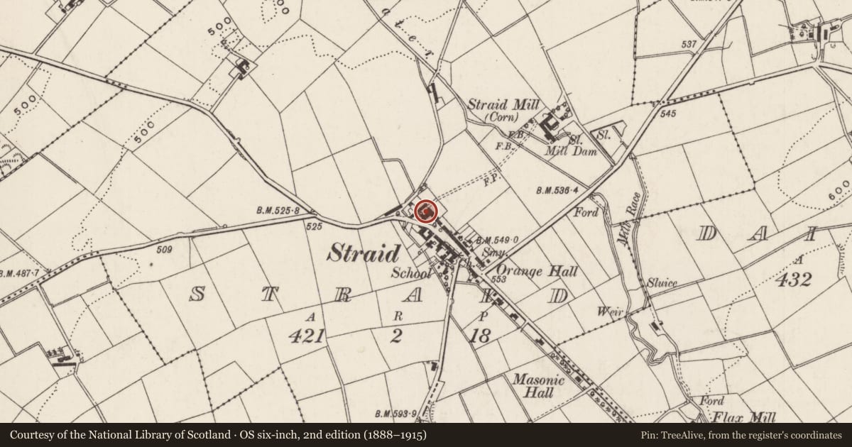 Ordnance Survey six-inch map, 2nd edition (1888–1915) covering the location of Straid House, Antrim and Newtownabbey, with a pin at the register's coordinates