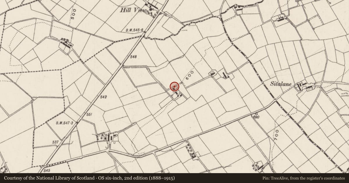 Ordnance Survey six-inch map, 2nd edition (1888–1915) covering the location of 31 Dairyland Road, Antrim and Newtownabbey, with a pin at the register's coordinates