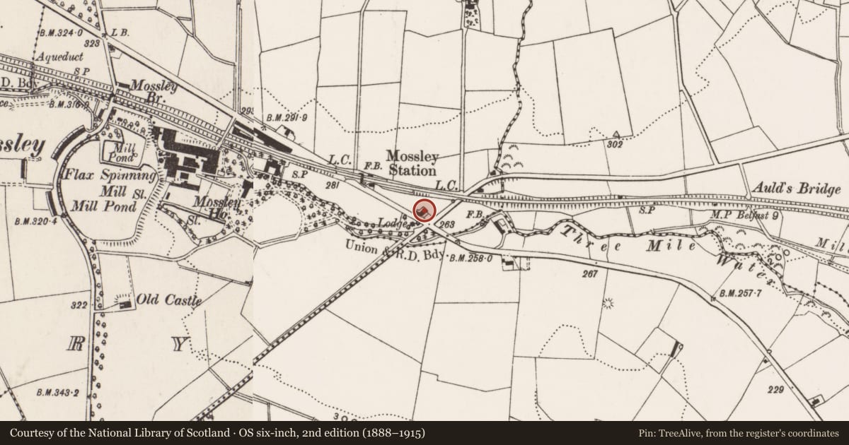 Ordnance Survey six-inch map, 2nd edition (1888–1915) covering the location of Lodge, Antrim and Newtownabbey, with a pin at the register's coordinates
