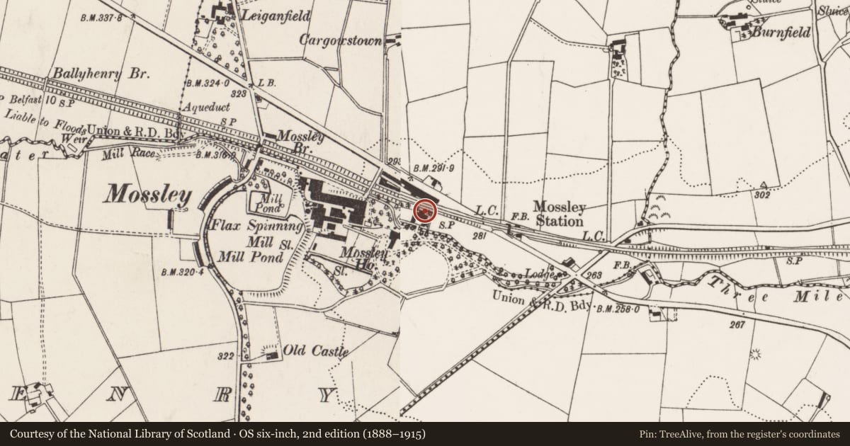 Ordnance Survey six-inch map, 2nd edition (1888–1915) covering the location of Outbuildings, Antrim and Newtownabbey, with a pin at the register's coordinates