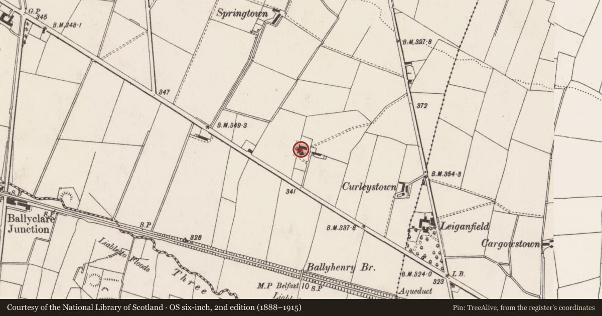 Ordnance Survey six-inch map, 2nd edition (1888–1915) covering the location of Newtownabbey Courtyard Theatre, Antrim and Newtownabbey, with a pin at the register's coordinates