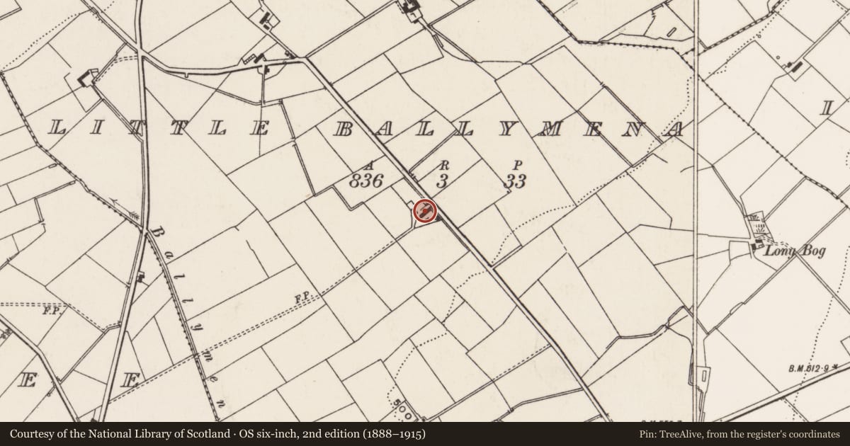 Ordnance Survey six-inch map, 2nd edition (1888–1915) covering the location of Hillview, Little Ballymena, Antrim and Newtownabbey, with a pin at the register's coordinates