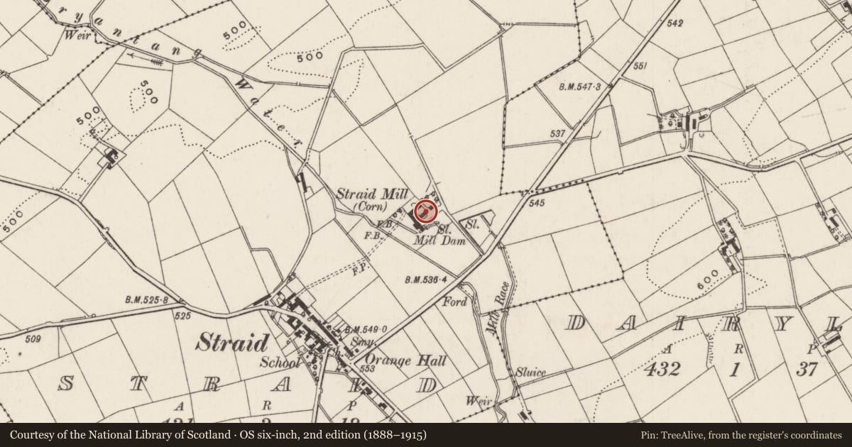 Ordnance Survey six-inch map, 2nd edition (1888–1915) covering the location of Mill House, Straid, Antrim and Newtownabbey, with a pin at the register's coordinates