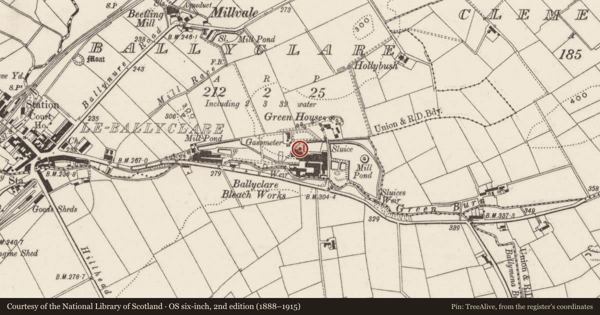 Ordnance Survey six-inch map, 2nd edition (1888–1915) covering the location of Ballyclare Bleachworks, with a pin at the register's coordinates