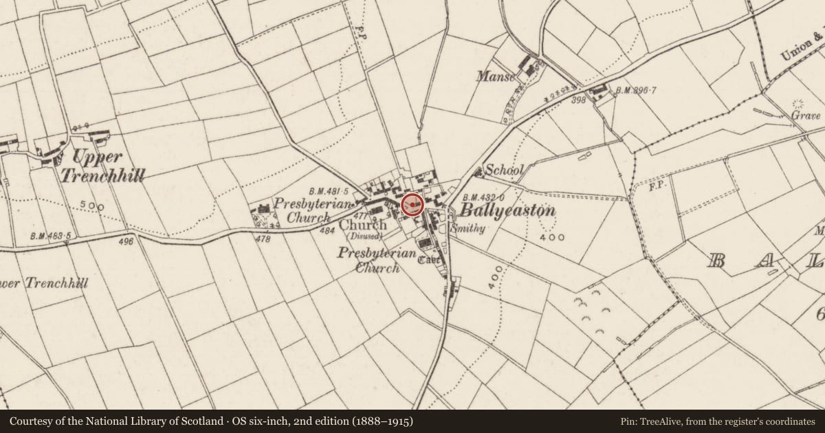 Ordnance Survey six-inch map, 2nd edition (1888–1915) covering the location of The Castle, Antrim and Newtownabbey, with a pin at the register's coordinates