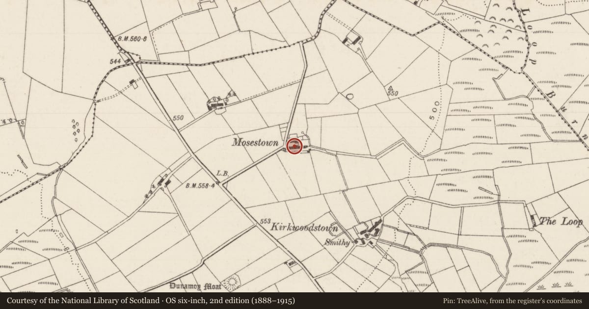 Ordnance Survey six-inch map, 2nd edition (1888–1915) covering the location of Mosestown, Dunamoy, Antrim and Newtownabbey, with a pin at the register's coordinates