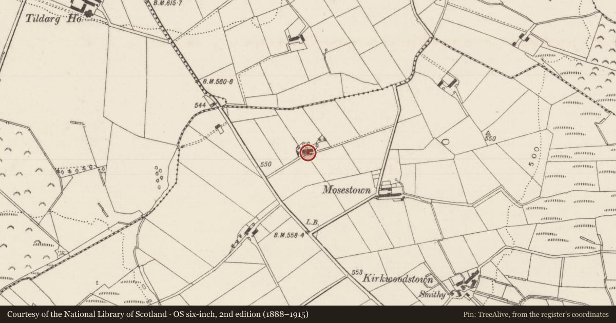 Ordnance Survey six-inch map, 2nd edition (1888–1915) covering the location of Collin Road, Dunamoy, Antrim and Newtownabbey, with a pin at the register's coordinates