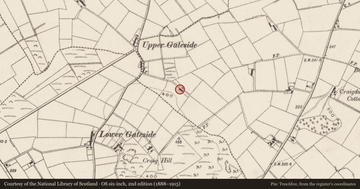 Ordnance Survey six-inch map, 2nd edition (1888–1915) covering the location of Gateside, Ballycor, Antrim and Newtownabbey, with a pin at the register's coordinates