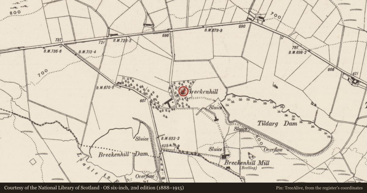 Ordnance Survey six-inch map, 2nd edition (1888–1915) covering the location of Breckenhill Road, Doagh, Ballyclare, Tildarg, Antrim and Newtownabbey, with a pin at the register's coordinates