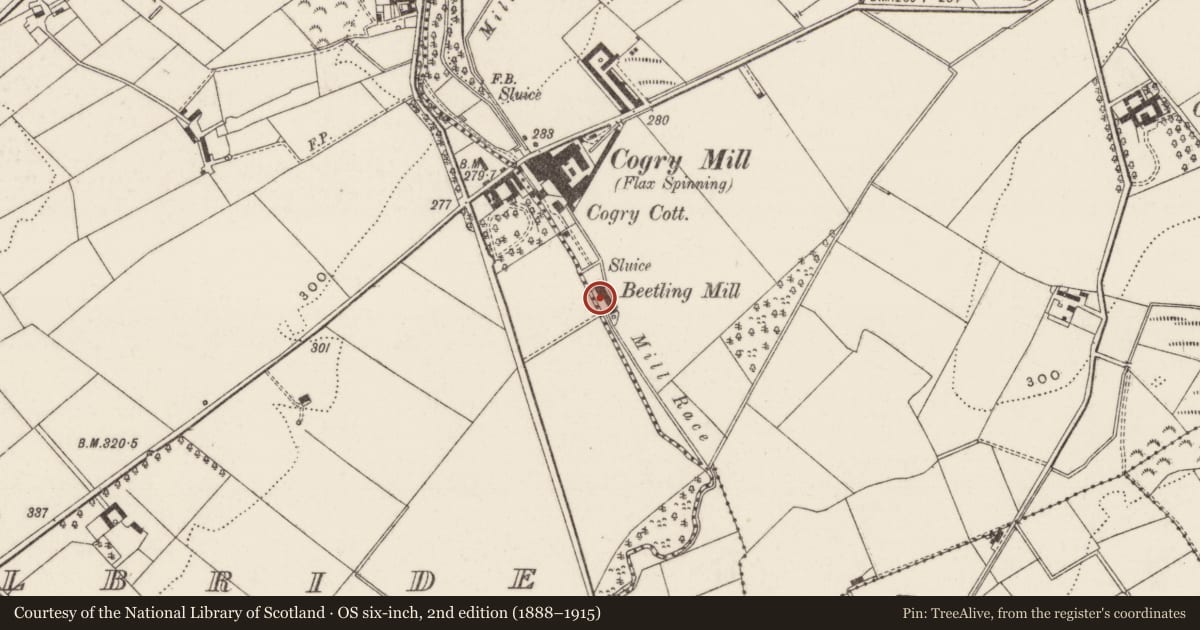 Ordnance Survey six-inch map, 2nd edition (1888–1915) covering the location of The Beetles, Antrim and Newtownabbey, with a pin at the register's coordinates
