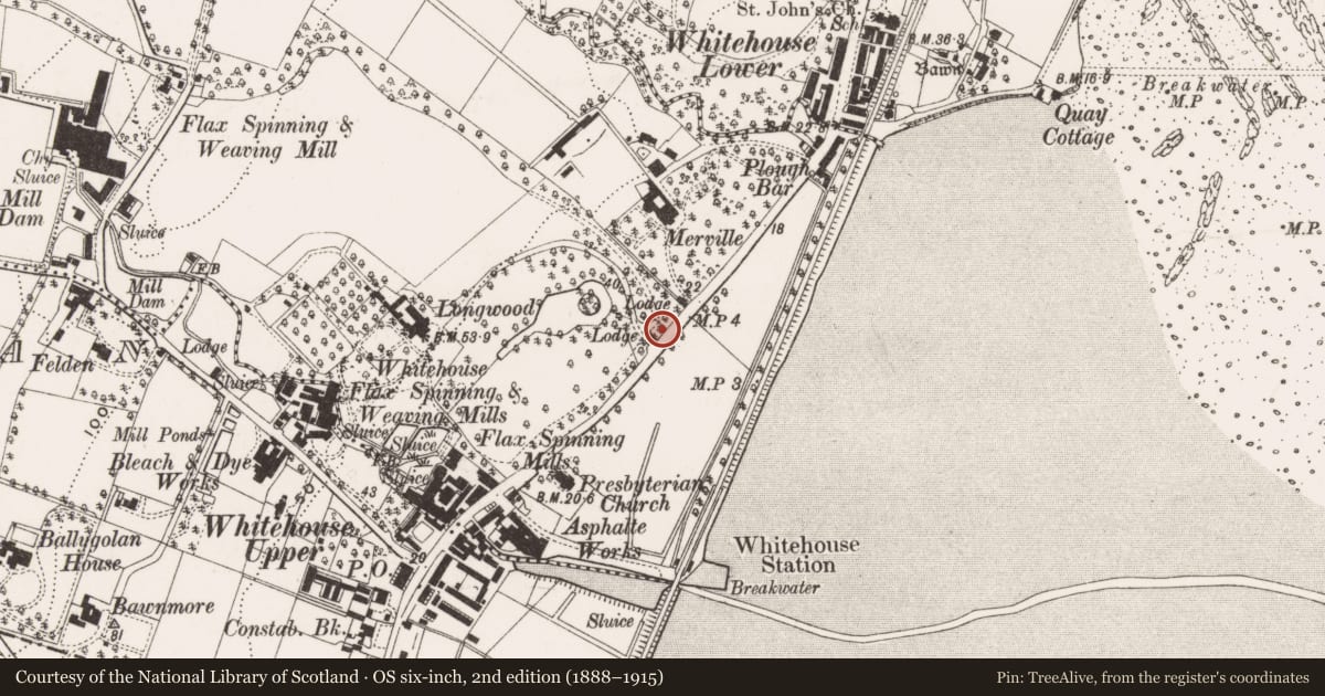 Ordnance Survey six-inch map, 2nd edition (1888–1915) covering the location of Longwood Lodge, Drumnadrough, Antrim and Newtownabbey, with a pin at the register's coordinates