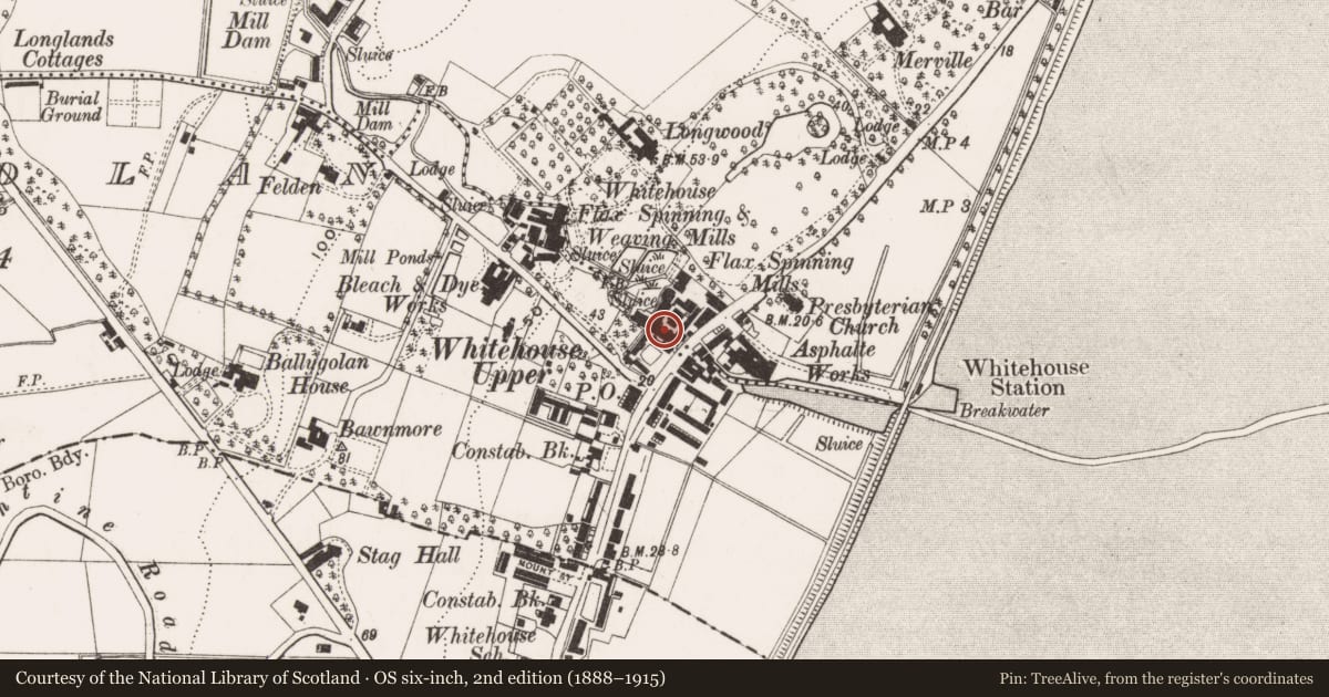 Ordnance Survey six-inch map, 2nd edition (1888–1915) covering the location of Barbour’s Mill, Antrim and Newtownabbey, with a pin at the register's coordinates