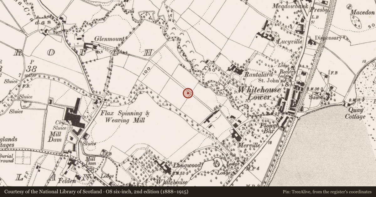Ordnance Survey six-inch map, 2nd edition (1888–1915) covering the location of Merville Garden Village, Drumnadrough, Antrim and Newtownabbey, with a pin at the register's coordinates