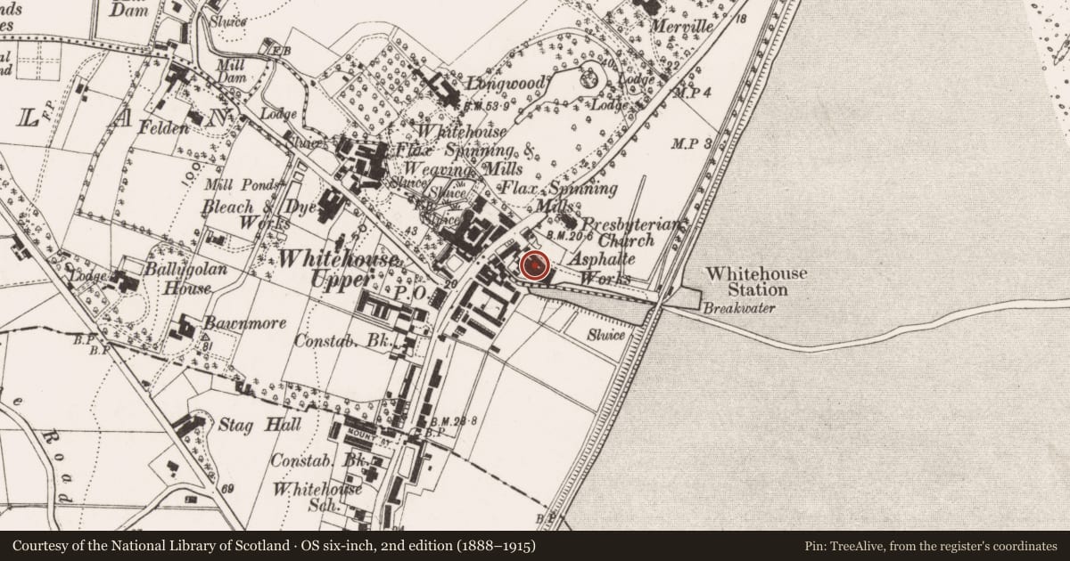 Ordnance Survey six-inch map, 2nd edition (1888–1915) covering the location of Buildings at 'John Erskine Ltd. Felt Manufacturers', Drumnadrough, Antrim and Newtownabbey, with a pin at the register's coordinates