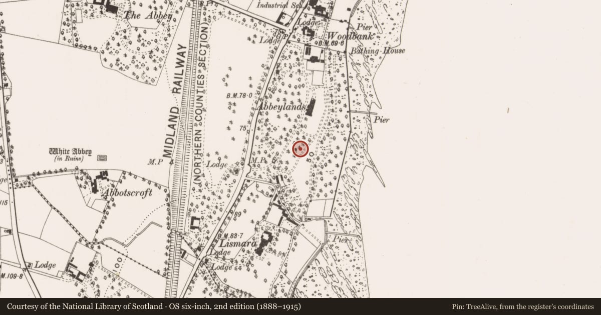 Ordnance Survey six-inch map, 2nd edition (1888–1915) covering the location of Folly at Willowbrook, Whiteabbey, Antrim and Newtownabbey, with a pin at the register's coordinates