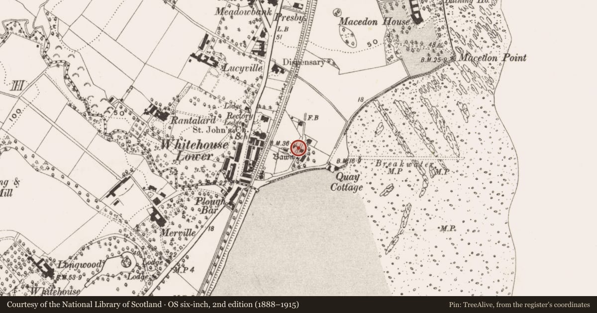 Ordnance Survey six-inch map, 2nd edition (1888–1915) covering the location of Old Bawn, Whitehouse, Antrim and Newtownabbey, with a pin at the register's coordinates