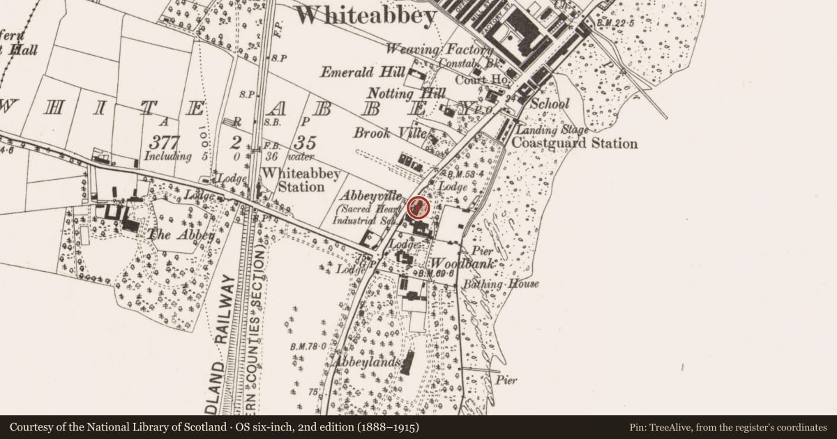 Ordnance Survey six-inch map, 2nd edition (1888–1915) covering the location of Immaculata Special School, Antrim and Newtownabbey, with a pin at the register's coordinates