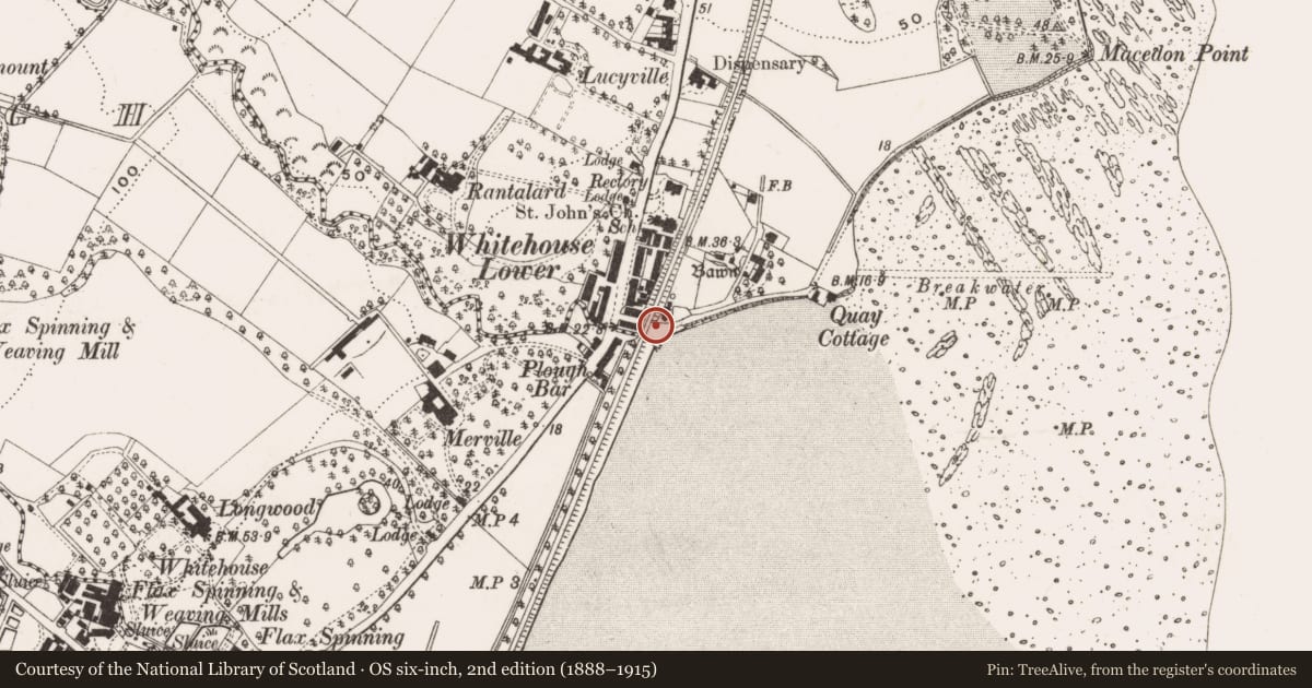 Ordnance Survey six-inch map, 2nd edition (1888–1915) covering the location of Railway Bridge, Whitehouse, Antrim and Newtownabbey, with a pin at the register's coordinates