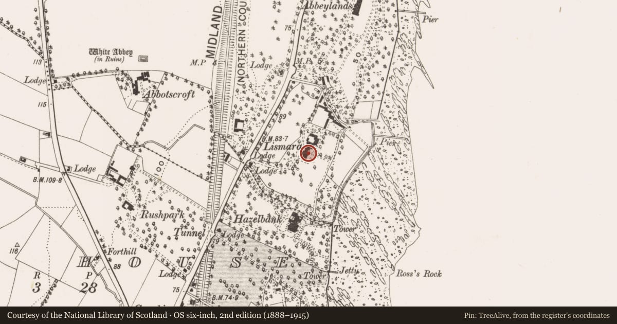 Ordnance Survey six-inch map, 2nd edition (1888–1915) covering the location of 20 Abbeydene Manor, Whiteabbey, Antrim and Newtownabbey, with a pin at the register's coordinates