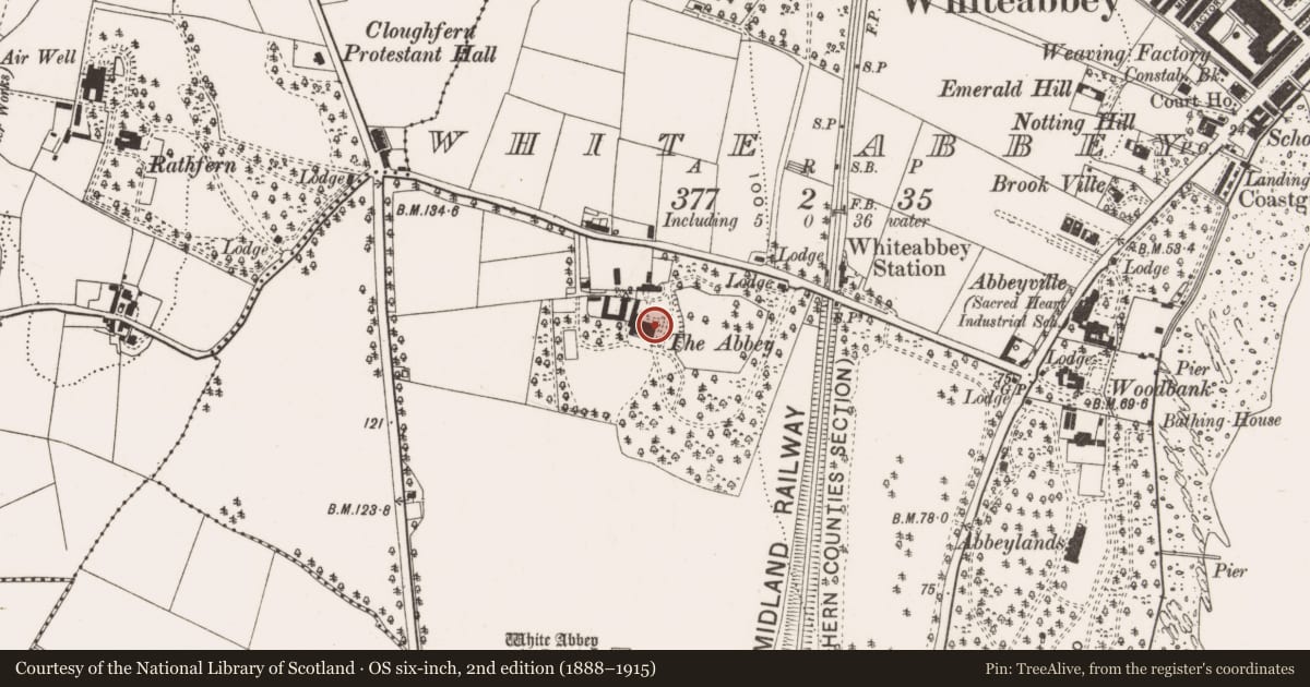 Ordnance Survey six-inch map, 2nd edition (1888–1915) covering the location of Abbey House, Rushpark, Antrim and Newtownabbey, with a pin at the register's coordinates