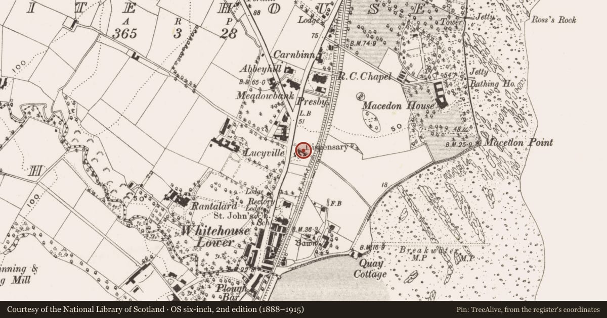 Ordnance Survey six-inch map, 2nd edition (1888–1915) covering the location of 293 Shore Road, Antrim and Newtownabbey, with a pin at the register's coordinates