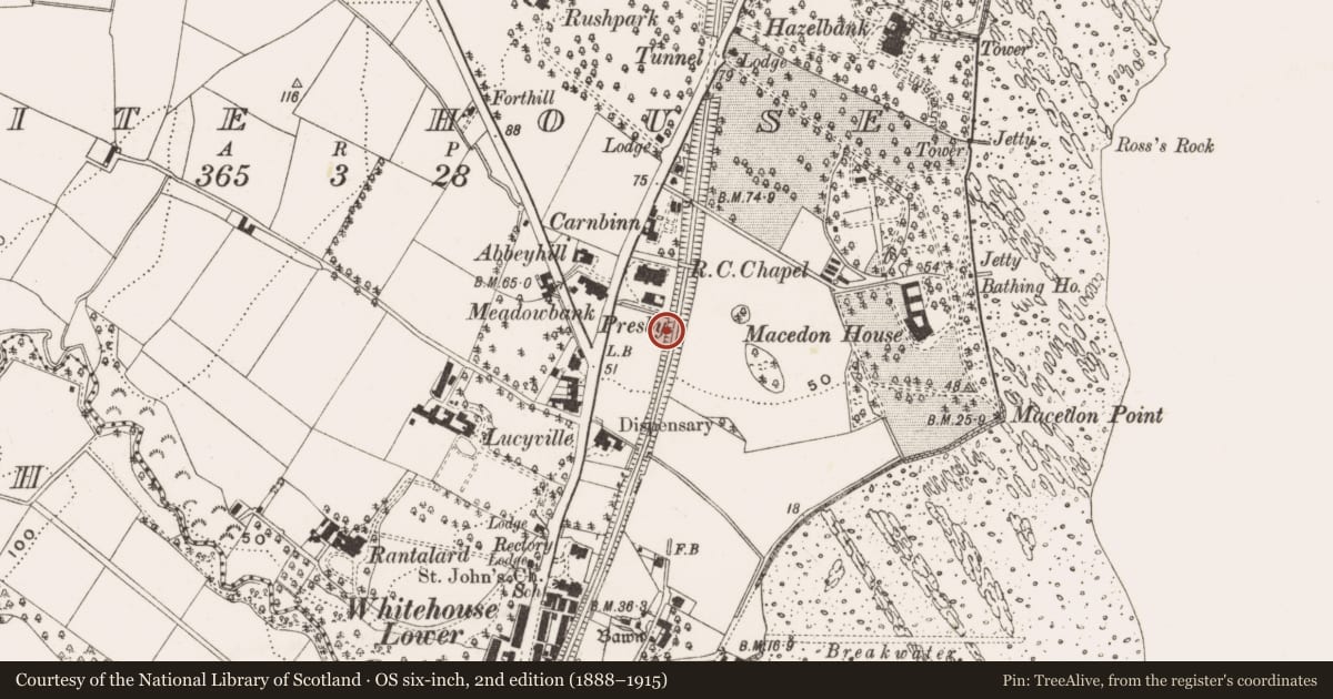 Ordnance Survey six-inch map, 2nd edition (1888–1915) covering the location of 301 and 303 Shore Road, Antrim and Newtownabbey, with a pin at the register's coordinates