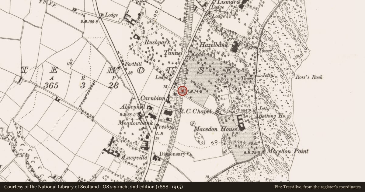 Ordnance Survey six-inch map, 2nd edition (1888–1915) covering the location of Bridge over Railway, Whitehouse, Antrim and Newtownabbey, with a pin at the register's coordinates