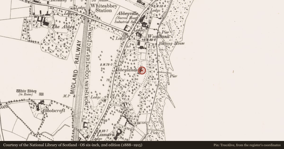 Ordnance Survey six-inch map, 2nd edition (1888–1915) covering the location of Abbeylands Hotel, Antrim and Newtownabbey, with a pin at the register's coordinates