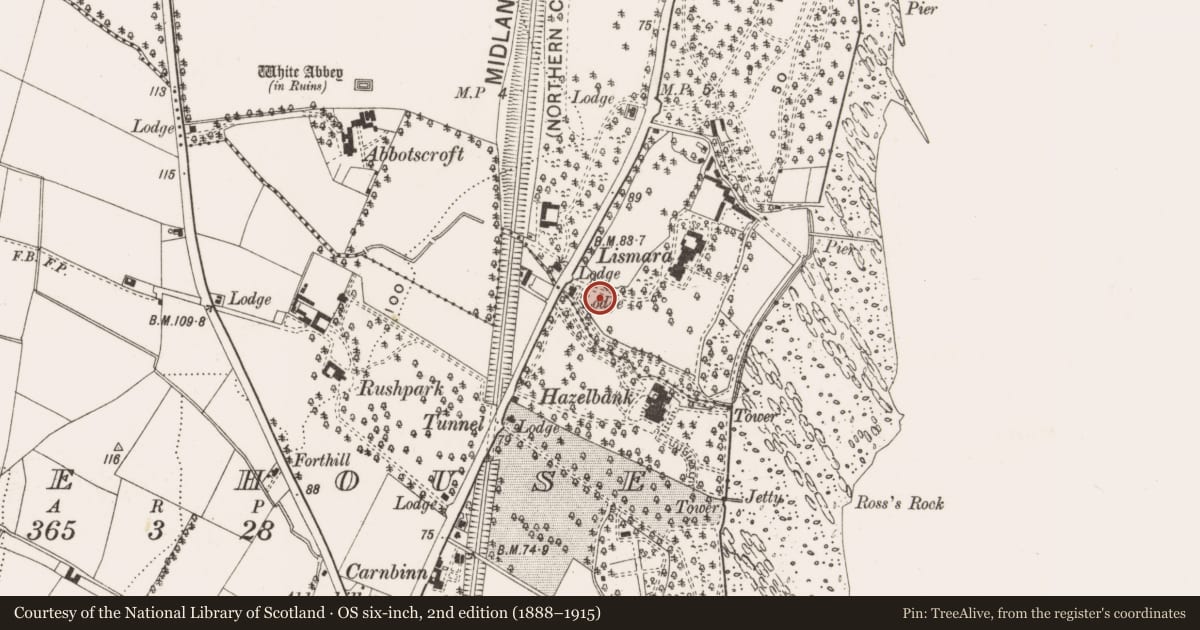 Ordnance Survey six-inch map, 2nd edition (1888–1915) covering the location of Lismara Gatelodge, Antrim and Newtownabbey, with a pin at the register's coordinates