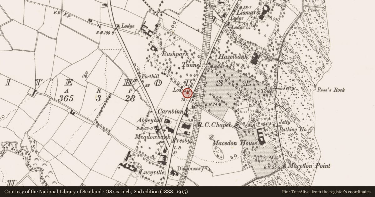 Ordnance Survey six-inch map, 2nd edition (1888–1915) covering the location of Gate Lodge, Antrim and Newtownabbey, with a pin at the register's coordinates