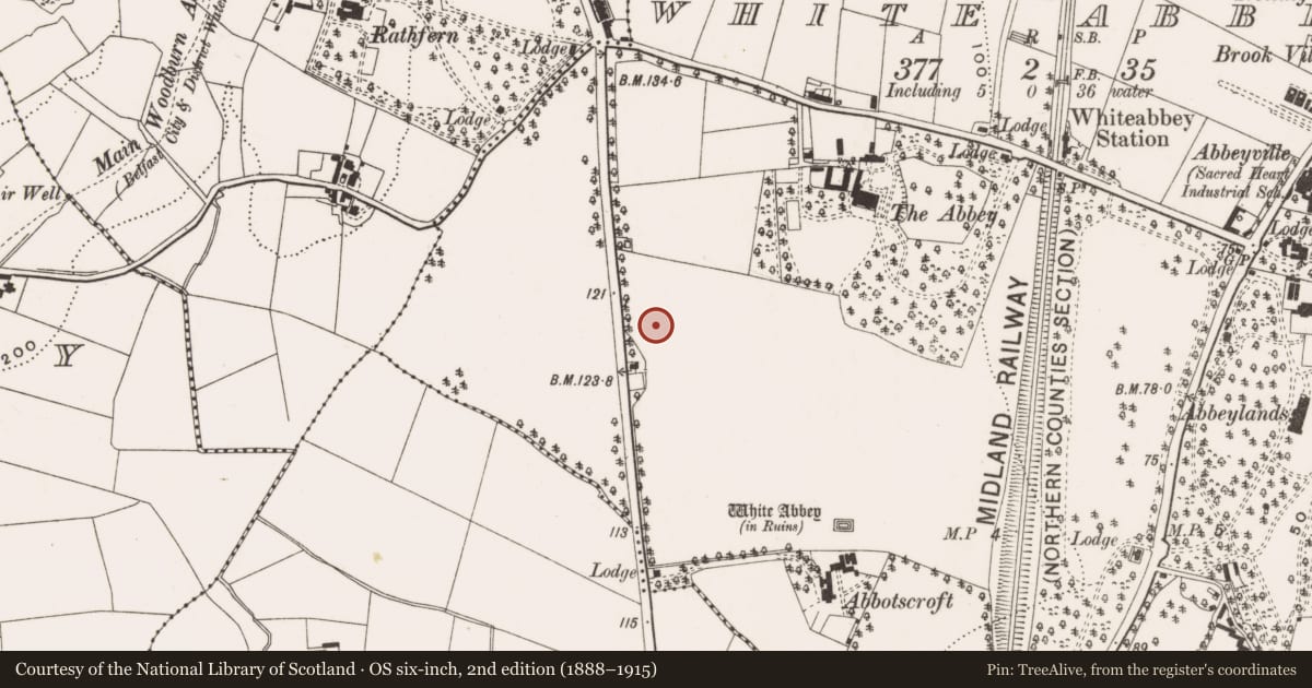 Ordnance Survey six-inch map, 2nd edition (1888–1915) covering the location of Abbots Cross Presbyterian Church, Whiteabbey, Antrim and Newtownabbey, with a pin at the register's coordinates