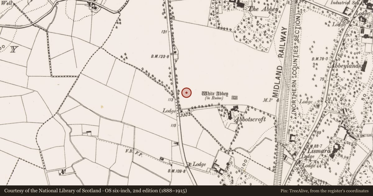 Ordnance Survey six-inch map, 2nd edition (1888–1915) covering the location of Abbotscroft Garden Village, Antrim and Newtownabbey, with a pin at the register's coordinates