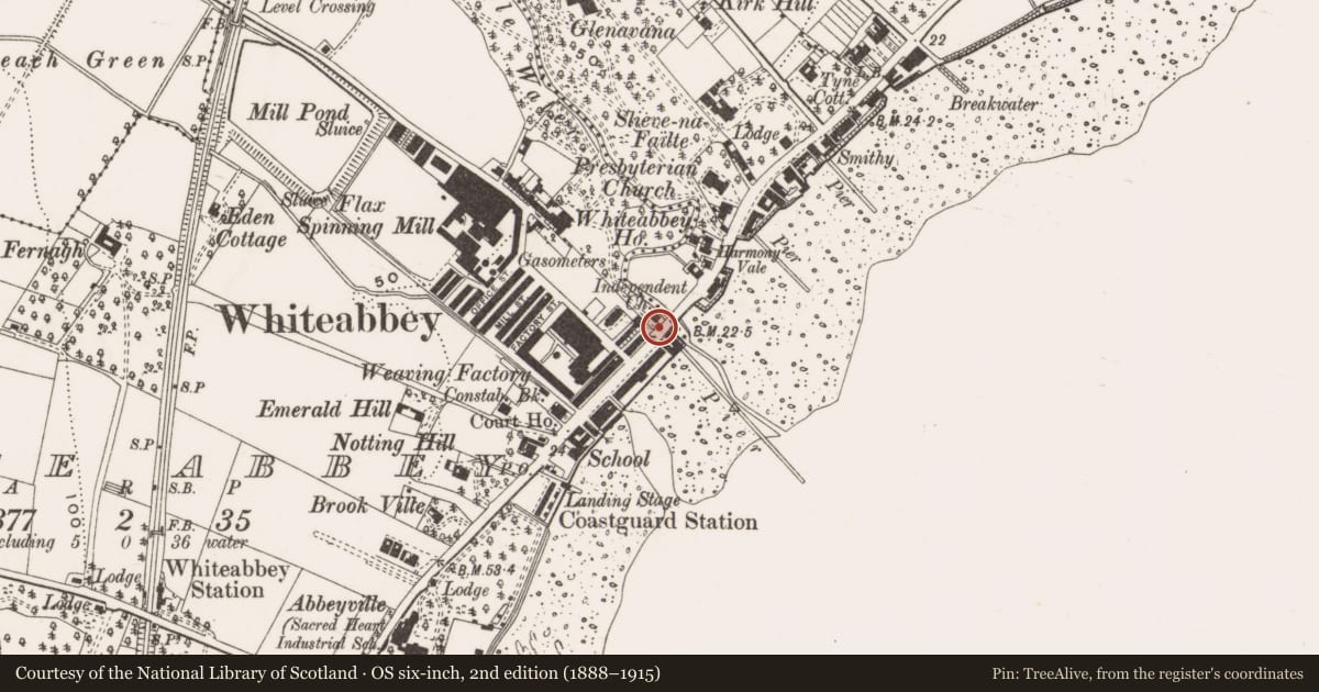 Ordnance Survey six-inch map, 2nd edition (1888–1915) covering the location of 538-558 Shore Road, Antrim and Newtownabbey, with a pin at the register's coordinates