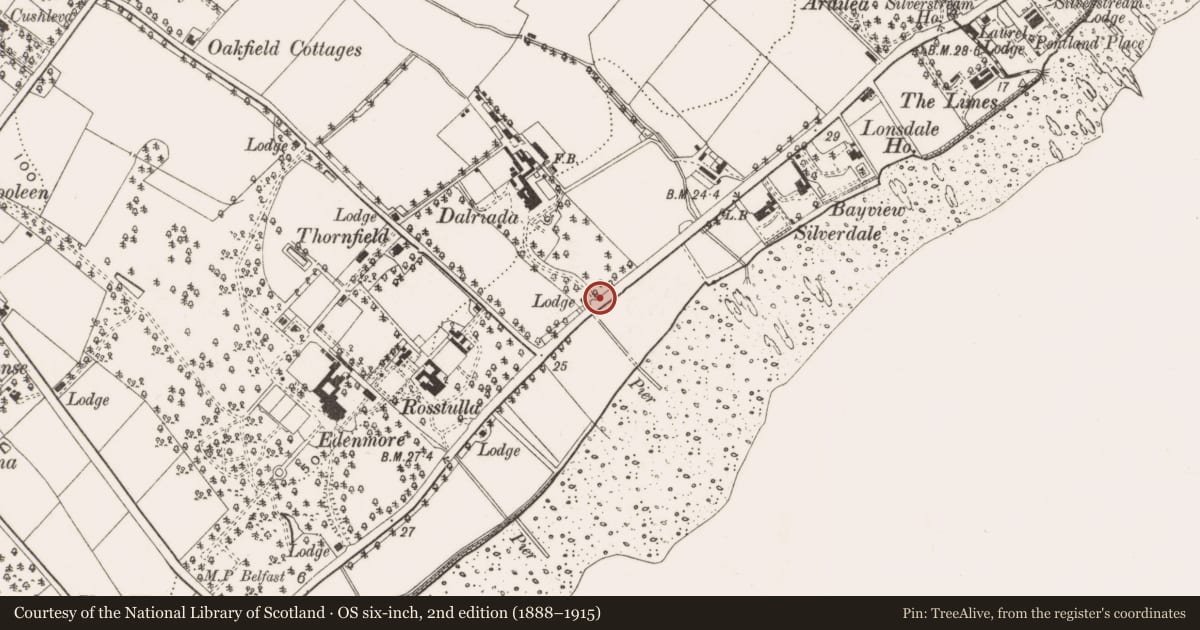 Ordnance Survey six-inch map, 2nd edition (1888–1915) covering the location of Gate lodge, Jordanstown, Antrim and Newtownabbey, with a pin at the register's coordinates