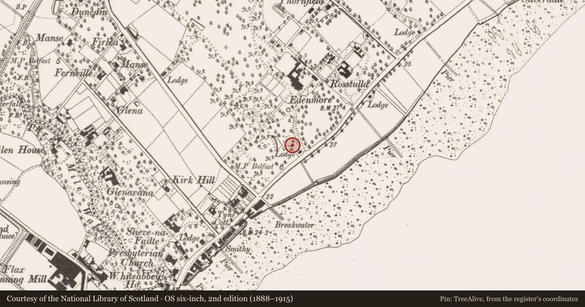 Ordnance Survey six-inch map, 2nd edition (1888–1915) covering the location of Chestnut Hill, Jordanstown, Antrim and Newtownabbey, with a pin at the register's coordinates
